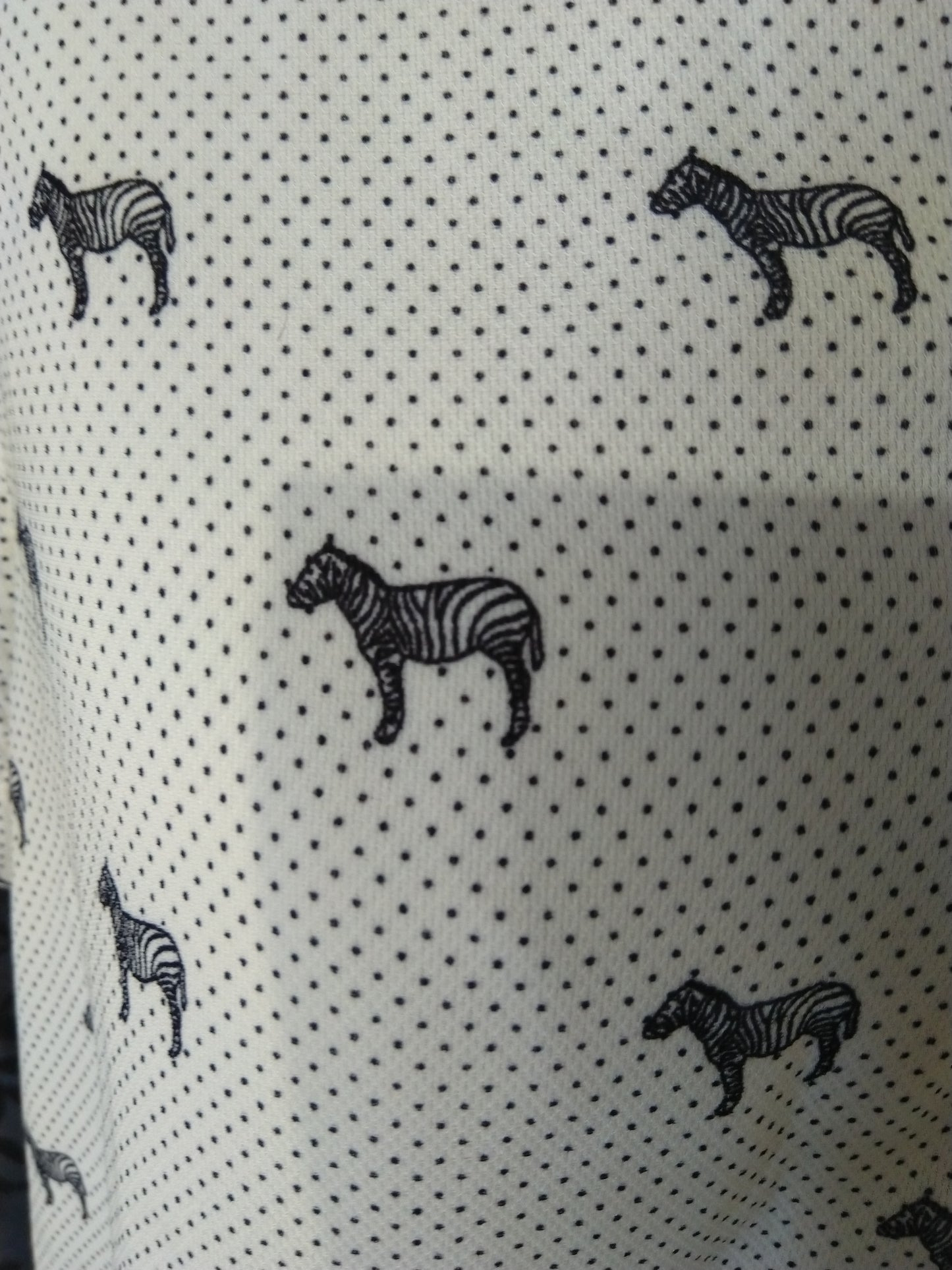 Zebra Shirt, sz 12