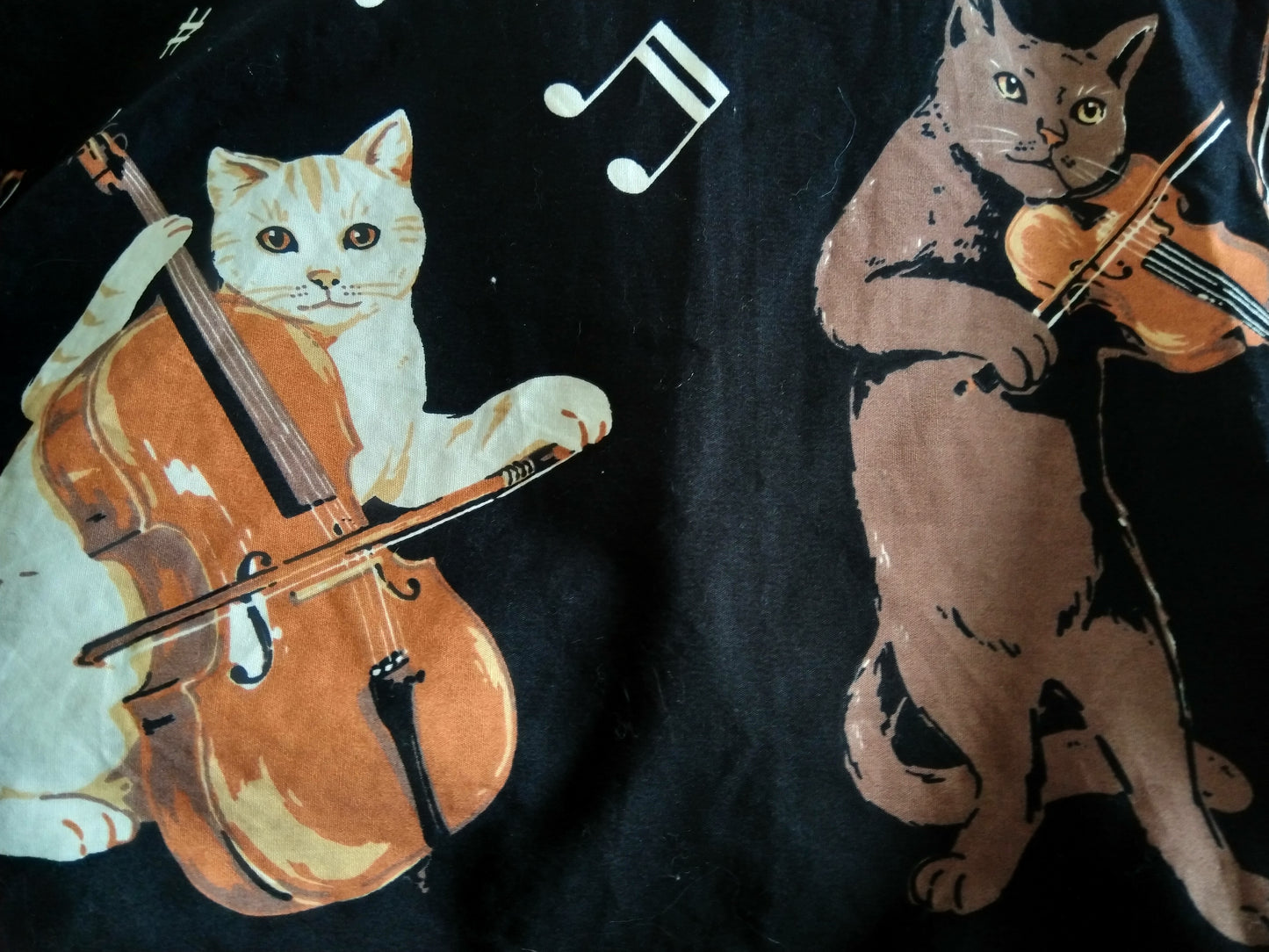 Cats Playing Fiddles, sz 14