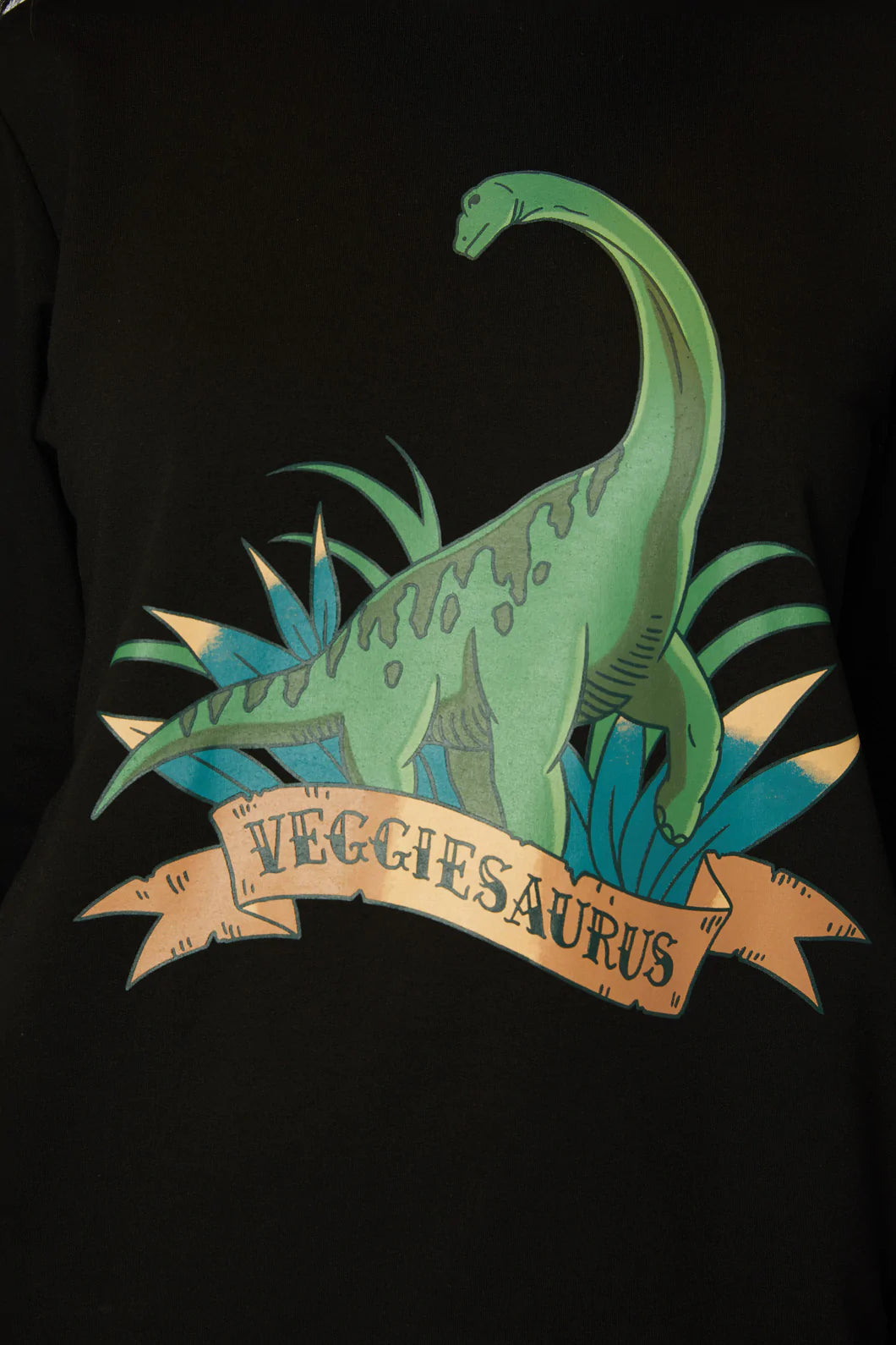Veggiesaurus Sweater x 2, sizes 14 & 12